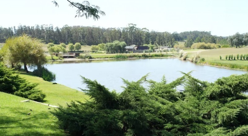 Casa en alquiler en Pueblo Mio